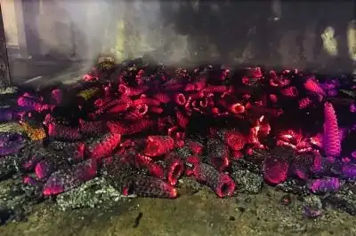 El marlo, un sustituto ecológico del carbón