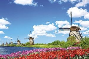 Kinderdijk, el hogar de los molinos de viento