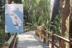 Bosque de arrayanes: uno de los mejores destinos para el trekking