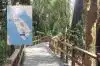 Bosque de arrayanes: uno de los mejores destinos para el trekking