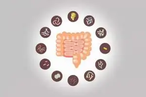 La microbiota: un auténtico ecosistema