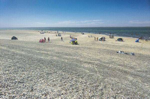 Punta Perdices, el Caribe de la Patagonia