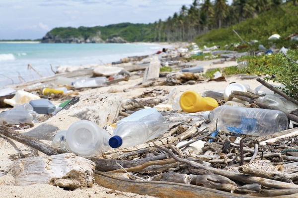 Envases de alimentos y bebidas, los plásticos que más contaminan