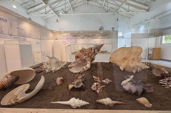 Una amistad forjada en base a caracoles