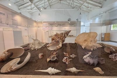 Una amistad forjada en base a caracoles