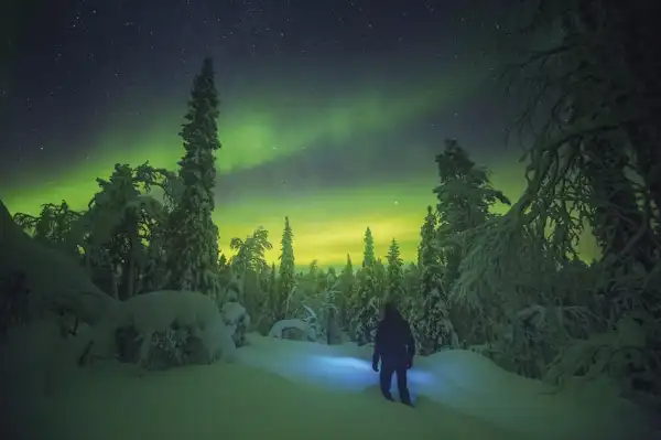 Auroras boreales en Tromsø, una experiencia única e inolvidable