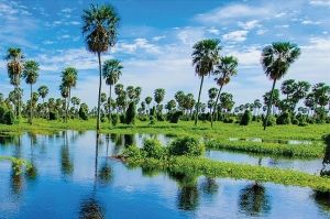 Bañado La Estrella: cuna de la biodiversidad