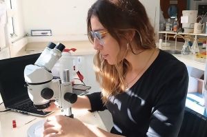 La científica que investiga homicidios a través de las moscas