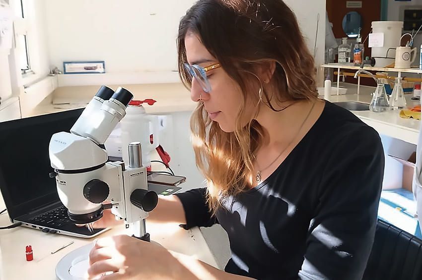 La científica que investiga homicidios a través de las moscas