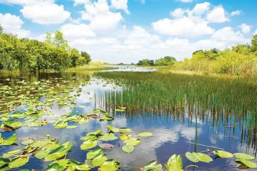 Los humedales, una reserva que debe preservarse