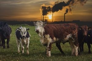 El metano y su incidencia en el cambio climático