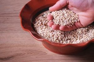 Cebada, un cereal para incorporar a la dieta
