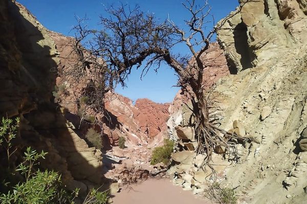 Los tesoros ocultos de Talampaya