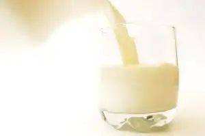 Cómo saber si un alimento no se puede consumir